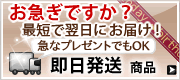 即日発送可能アイテム